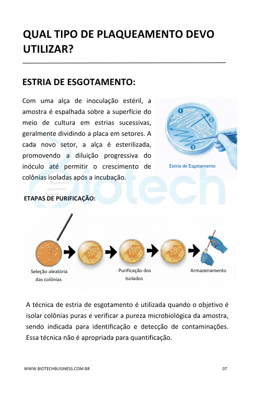 Página Plaqueamento e Pureza