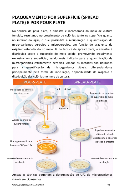 Página de Tipo de Plaqueamento
